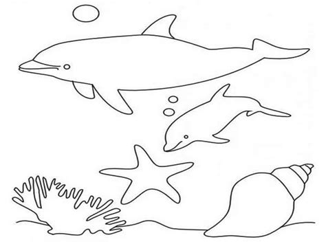 Dolphins Curios With A Seas Tar Page To Color Coloring Page Kids Play