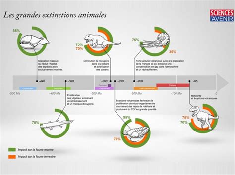 Chronologie Des Extinctions De Masses Subies Par La Terre Sciences Et