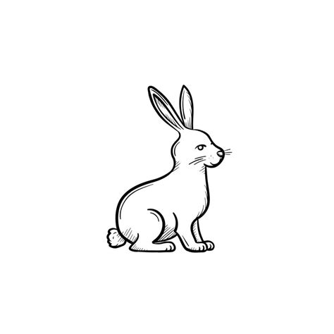 Вектор рисованной кролик наброски каракули значок иллюстрация эскиза