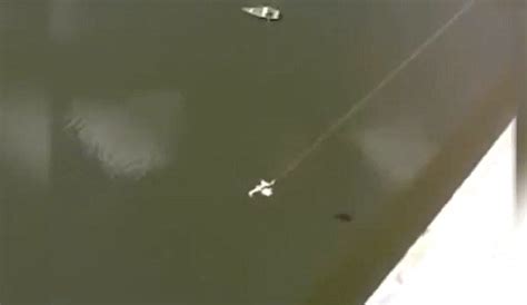 Terrifying Moment Woman Bungee Jumps Off A Bridge Without A Harness
