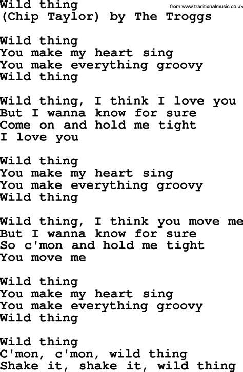 Bruce Springsteen Song Wild Thing Lyrics