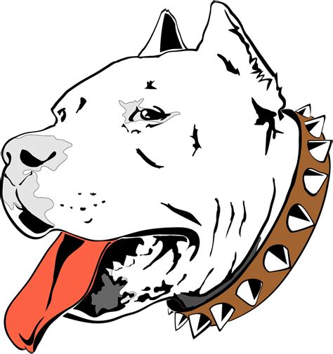 Pit Bull Vector Image A Photo On Flickriver Clipart Best Clipart Best