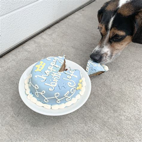How To Get A Personalized Birthday Cake For Your Dog