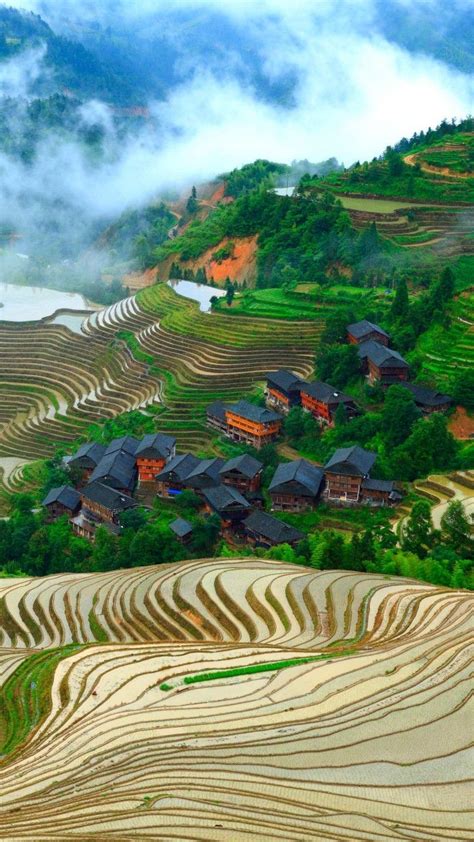 Dragons Backbone Rice Terraces Longsheng Guangxi China Nature