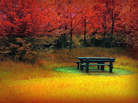 Beautiful Autumn Wallpapers Most Beautiful Places In The World