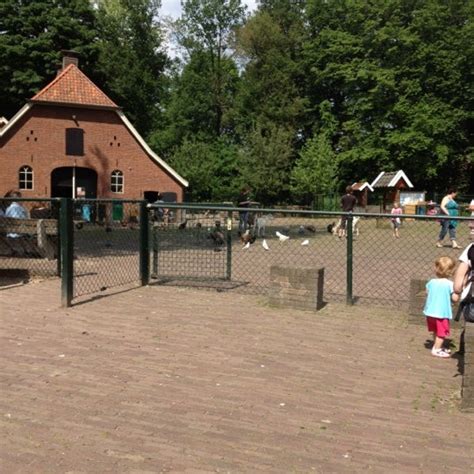 Kinderboerderij Erve T Wooldrik Farm In Enschede