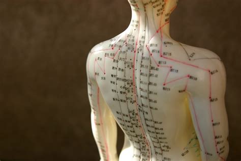 How Acupuncture Works Hoku Integrated Healthcare