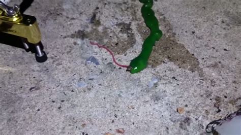 Watch A Bizarre Green Slime Beast Slithers Around Flicking Its Toxic