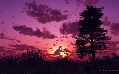 Free Download Purple Sunset Wallpaper Desktop Nature Pics Wallpaper