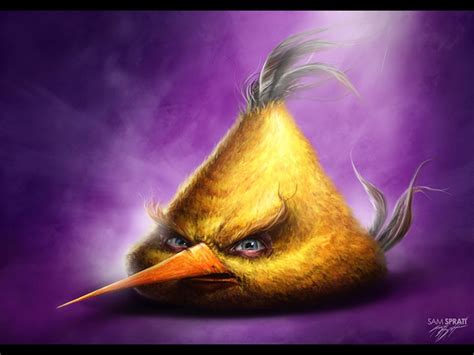 Realistic Angry Birds The Complete Collection Feelfreetoscreenshot