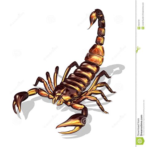 Scorpion Stock Illustrations Vectors And Clipart 2346 Stock