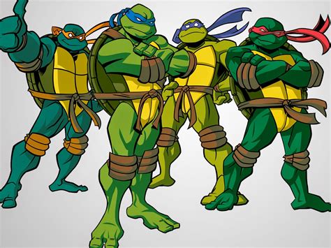 Kumpulan Gambar Teenage Mutant Ninja Turtles Gambar Lucu Terbaru
