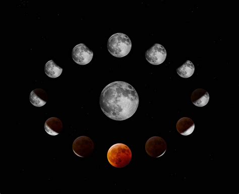 Moon Phases Circle Space And Skies Wall Murals And Wallpaper Little