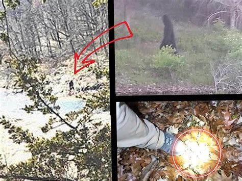 3 Times Bigfoot Sightings Went Viral In Iowa