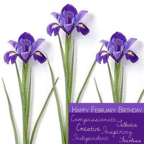 Happy February Birthday Hint Hint February Birth Month Flower Is The