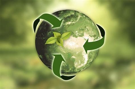 5 Pasos Para Un Hogar Más Ecológico Y Sostenible El Blog Alternativo