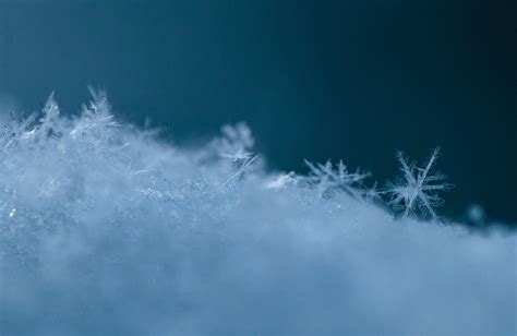 Snowflake Snow Ice Crystal Free Photo On Pixabay Pixabay