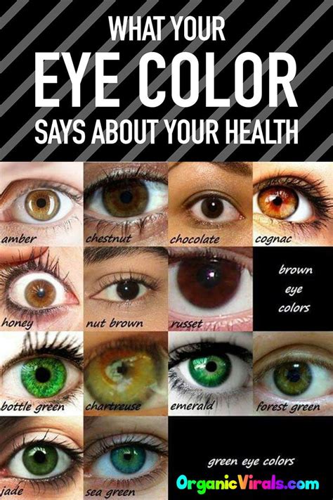 What Your Eye Color Reveals About Your Health And Personality Eye