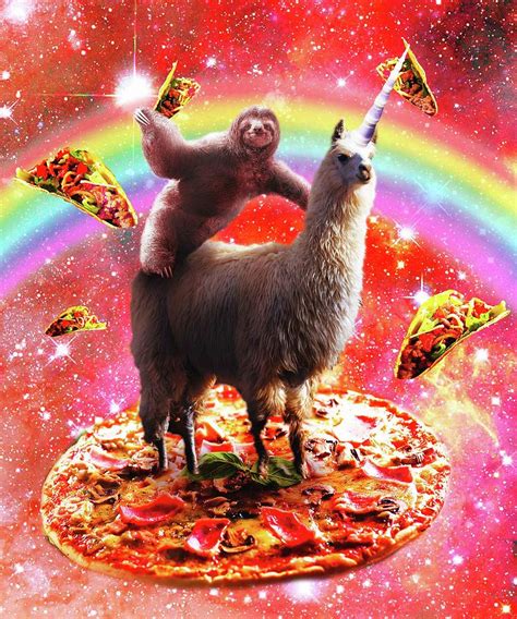 Space Sloth Riding Llama Unicorn Pizza Taco Digital Art By Random