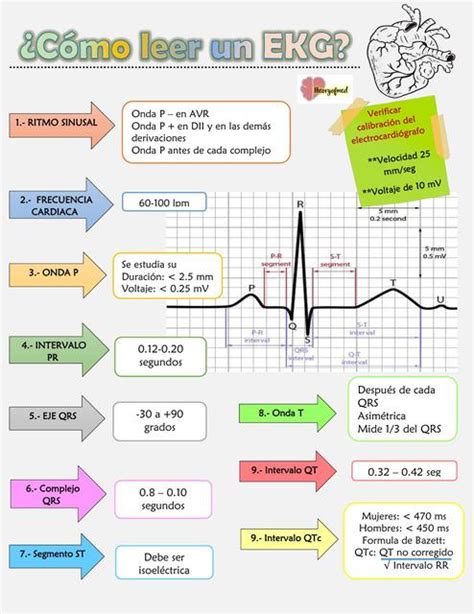 Cómo Leer Un Electrocardiograma Theory Of Med Udocz