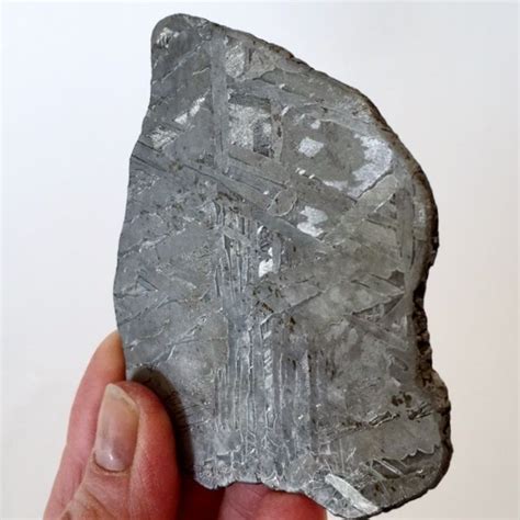 Muonionalusta Meteorite 92g And A Size Of 95 X 75 Cm Catawiki