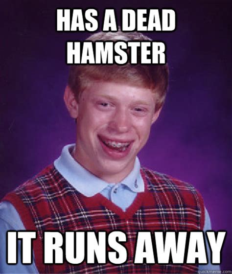 Has A Dead Hamster It Runs Away Bad Luck Brian Quickmeme