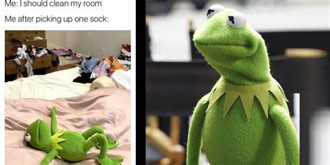 Muppets 10 Funniest Kermit The Frog Memes