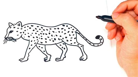 Cómo Dibujar Un Leopardo Paso A Paso Dibujo Fácil De Leopardo Youtube