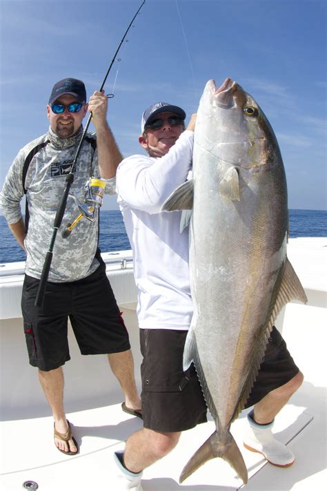 Amberjack Fishing In The Florida Keys