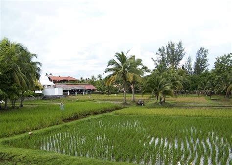 Dan tentunya nikmati juga sejumlah tempat menarik di kuta dan legian, dan semuanya ada di daftar 99 tempat wisata di kuta bali. 59 Tempat Menarik Di Langkawi (2020) | Lihat Keindahan ...