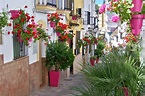 Estepona, Spain: 7 Amazing Things to See and Do | Millionaire Mob