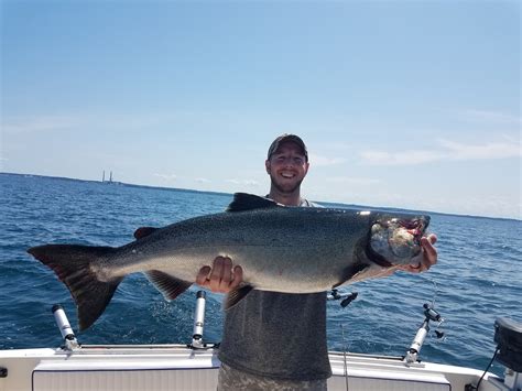 Oswego Salmon Fishing 2019 Ace Charters