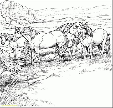 Elegant and detailed, there is enough here to color to satisfy the most creative and sophisticated artistic needs. Coloring Pages Of Horses Printable | Free Coloring Sheets