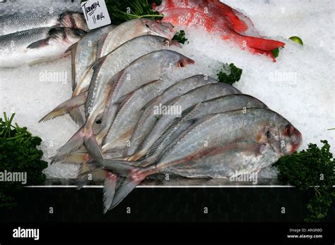 Fresh Fish Display At The Fishmongers Stall Borough Market London