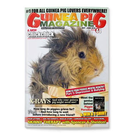 Issue 44 Print Only Guinea Pig Magazine