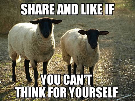 Sheeple Meme Picture Ebaums World