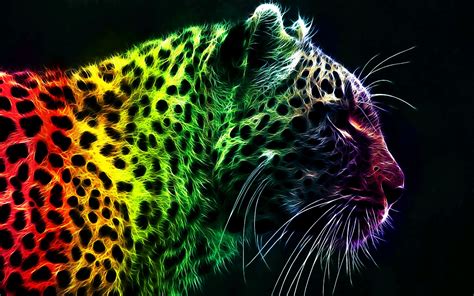 Colorful Cheetah Wallpapers Wallpapersafari
