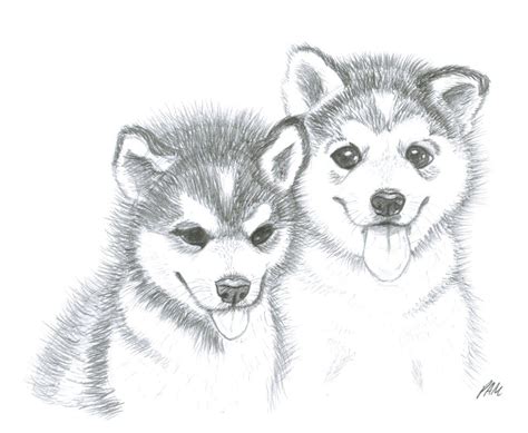 Check spelling or type a new query. Husky Puppies Drawing - Dog Pictures Blog | Puppy drawing, Husky puppy, Husky