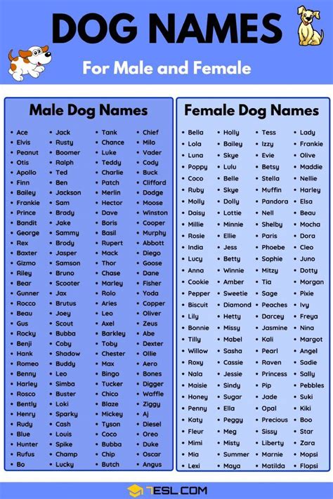 Dog Names 100 Most Popular Male And Female Dog Names 7 E S L Cute