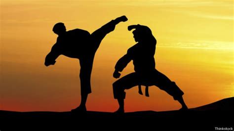Kung Fu O Karate Cual Es Mejor