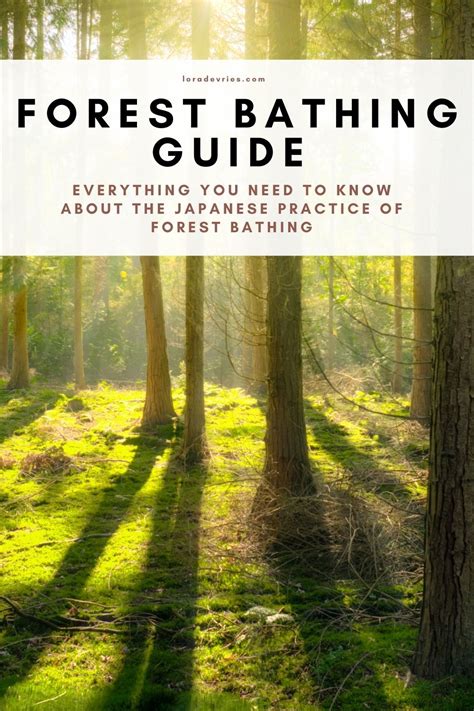 Forest Bathing Guide How To Forest Bathe And Forest Bathing Benefits
