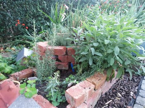Update Upcycled Herb Garden End Of Summer Edition Rgardening