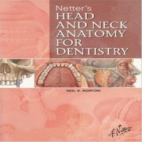 كتاب Netters Head And Neck Anatomy For Dentistry زبان اصلي دانلود فایل
