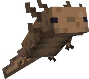 Axolotl addon features a cute little creature that will be added into minecraft pe in the caves and cliffs update. Axolotls Replica Concept Minecraft PE Addon