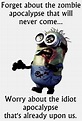 38 Funny Quotes Minions And Minions Quotes Images - Dreams Quote