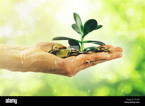money growth and investment concept. hand with coins and small plant