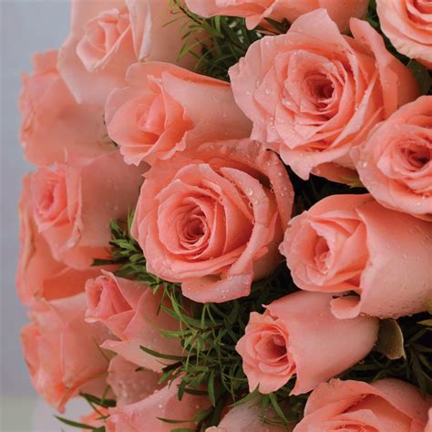 24 Pcs Peach Roses Flowers On Valentines Day