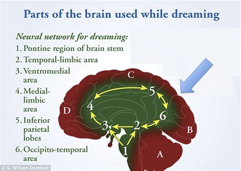 What Do Our Nightmares Mean Huge Online Database Reveals The Bizarre