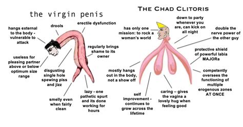 virgin penis vs chad clitoris virgin vs chad know your meme