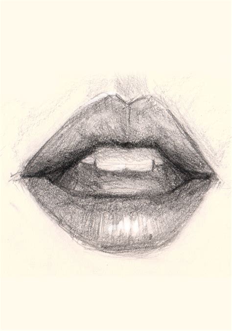This is the base line of your drawing. How to draw lips - Learn how to draw